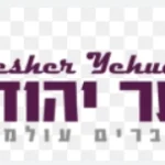 צילום מסך 2025-04-29 152049