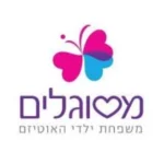 צילום מסך 2025-04-29 153317